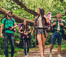 Tourists in the jungle